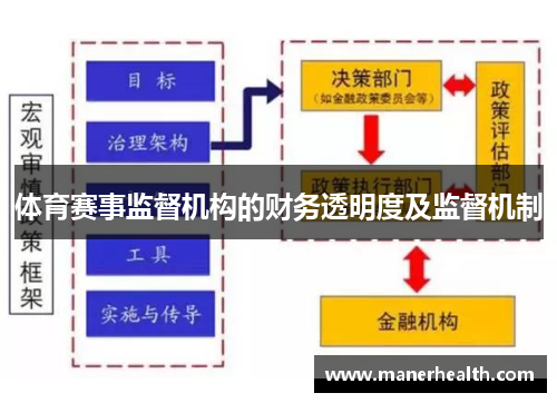 体育赛事监督机构的财务透明度及监督机制