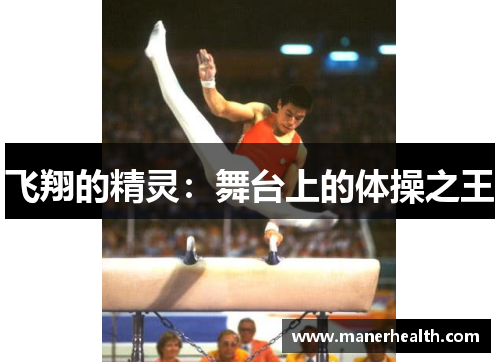 飞翔的精灵：舞台上的体操之王